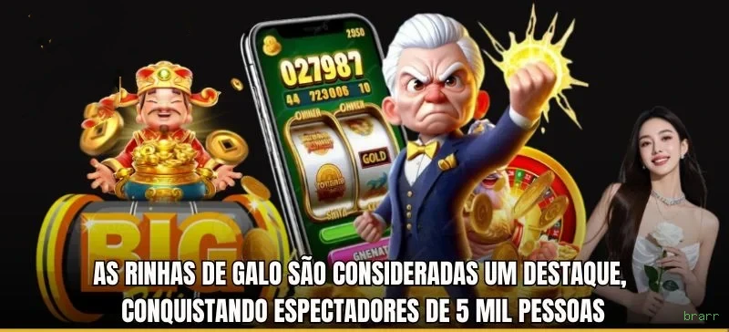 Apostas futebol ao vivo brarr - odds competitivas